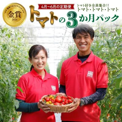 ふるさと納税 碧南市 [事前受付][4月〜6月の定期便]トマト好き全員集合トマト3か月お届けパック