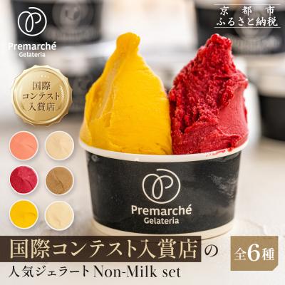 ふるさと納税 京都市 プレマルシェ・ジェラテリア 人気ジェラート6種食べ比べNon-Milk set |ジェラート専門店