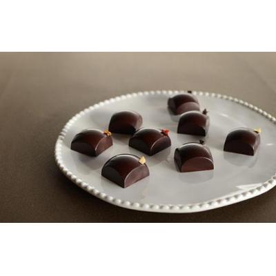 ふるさと納税 京都市 [Premarch Cacaolate Lab]国際コンテスト入賞店のボンボンショコラ 8個入り