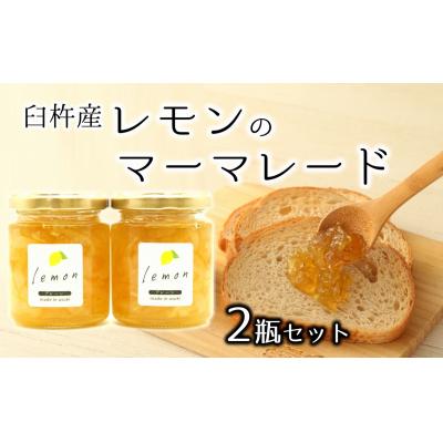 ふるさと納税 臼杵市 臼杵産レモンのマーマレード(2個)