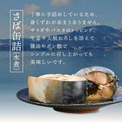 ふるさと納税 陸前高田市 無添加 さば缶詰 水煮 180g×24缶 サバ缶 缶詰 長期保存 備蓄 防災グッズ 業務用 大容量 |  | 01
