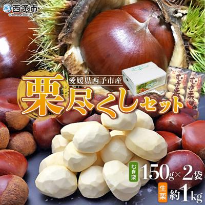 ふるさと納税 西予市 <栗尽くしセット(むき栗150g×2袋・生栗1kg)愛媛県西予市産> くり 生栗 剥き栗 フルーツ