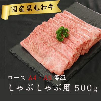 ふるさと納税 小松島市 国産 黒毛和牛 阿波牛 ロース しゃぶしゃぶ 肉 500g 牛肉 赤身 ロース リブロース 肩ロース