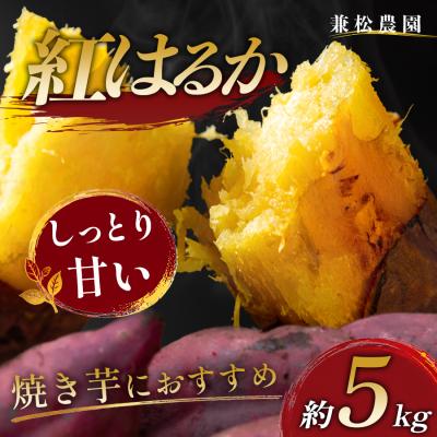 ふるさと納税 大月町 さつまいも 熟成 紅はるか 約5kg 国産 べにはるか スイーツ おやつ 栽培期間中農薬不使用