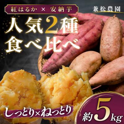 ふるさと納税 大月町 さつまいも 食べ比べ 約5kg 紅はるか 安納芋 各約2.5kg 熟成 焼き芋 しっとり ねっとり