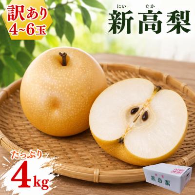 ふるさと納税 佐川町 <2026年秋発送先行受付中!> ≪訳あり品(変形 キズあり)≫ 新高梨 4〜6玉 (約 4kg)
