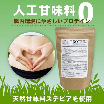 ふるさと納税 伊豆市 YSCホエイプロテインパウダー(チョコレート風味)500g×3袋の画像