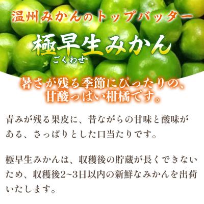 ふるさと納税 西予市 愛媛県西予市産　極早生みかん　3kg |  | 01