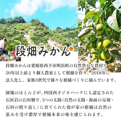ふるさと納税 西予市 愛媛県西予市産　極早生みかん　3kg |  | 02
