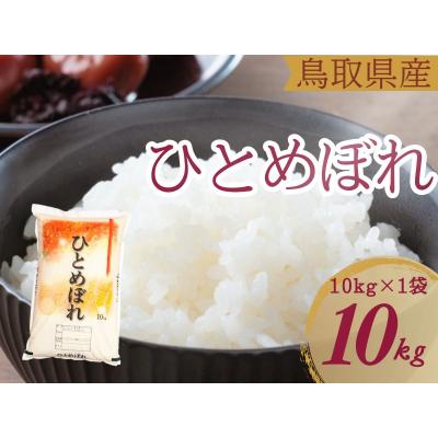 ふるさと納税 江府町 米 ひとめぼれ 10kg 鳥取県産 こめ 精米 10キロ 令和7年産 送料無料 1054 | 