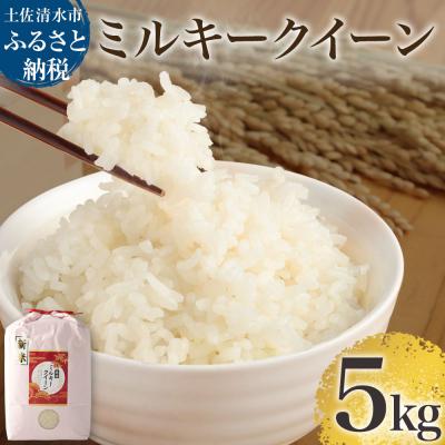 ふるさと納税 土佐清水市 令和8年産 新米 ミルキークイーン精米5kg 白米 お米 ご飯 米 高知県産[R01251]