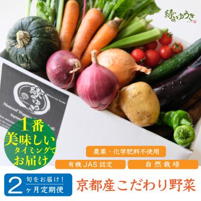 ふるさと納税 京都市 &lt;2か月定期便&gt;[緑のゆうき]京都産こだわりの野菜セット