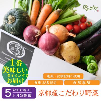 ふるさと納税 京都市 &lt;5か月定期&gt;[緑のゆうき]京都産こだわりの野菜セット
