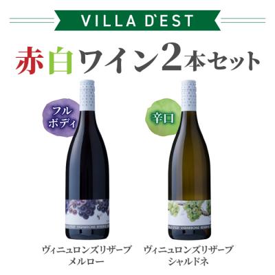 ふるさと納税 東御市 [ヴィラデストワイナリー]赤白ワイン2本セット(ヴィニュロンズリザーブシャルドネ &amp; メルロー)