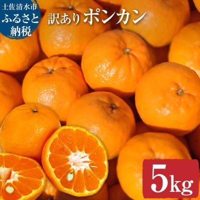 ふるさと納税 土佐清水市 [令和9年発送 訳あり]ぽんかん5kg(オレンジ園) デコポンの親 柑橘 フルーツ[R01080]