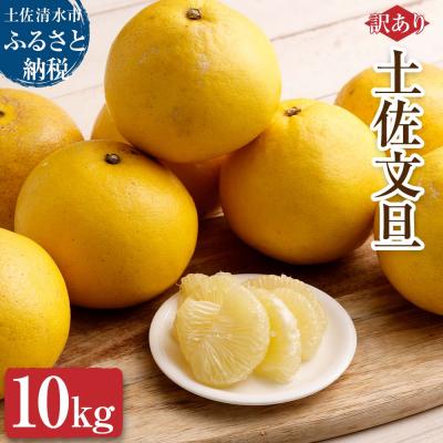 ふるさと納税 土佐清水市 [令和9年3月][訳あり]オレンジ園の土佐文旦10kg 柑橘 みかん ザボン[R01086]