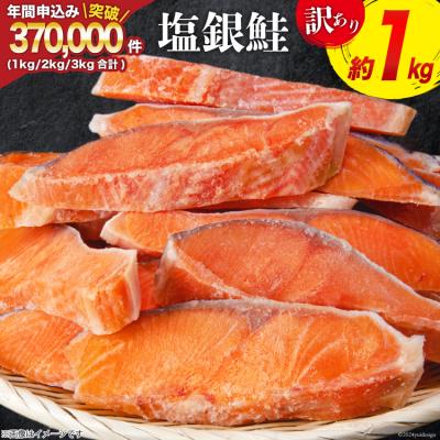 ふるさと納税 気仙沼市 訳あり 鮭 切身 約1kg [宮城東洋 宮城県 気仙沼市 20564663] サーモン