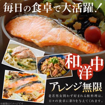 ふるさと納税 気仙沼市 訳あり 鮭 切身 約1kg [宮城東洋 宮城県 気仙沼市 20564663] サーモン |  | 03