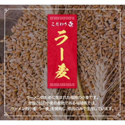 ふるさと納税 福智町 博多とんこつラーメン5食(ラー麦使用) |  | 01