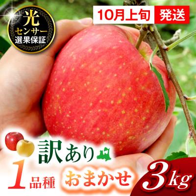ふるさと納税 五所川原市 [2026年10月上旬発送]訳あり]おまかせりんご3kg程度 青森[おまかせ1品種]
