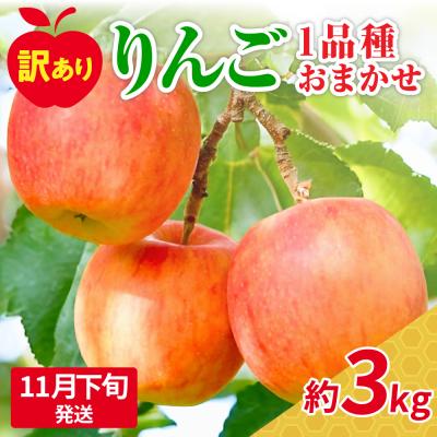ふるさと納税 五所川原市 [2025年11月下旬発送][訳あり]おまかせりんご3kg程度 青森[おまかせ1品種]