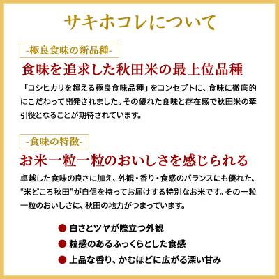 ふるさと納税 美郷町 《定期便2ヶ月》令和7年産 サキホコレ 5kg【白米】 計10kg|01_tfs-410502_3