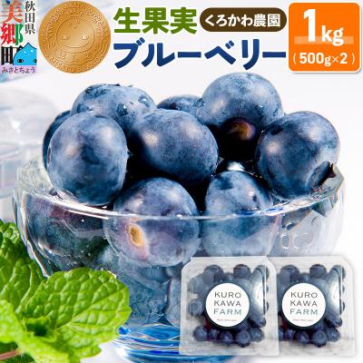 ふるさと納税 美郷町 くろかわ農園 ブルーベリー 1kg(500g×2パック)|01_kkn-010201