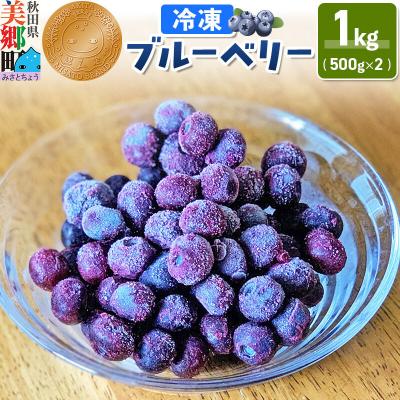 ふるさと納税 美郷町 くろかわ農園 冷凍ブルーベリー 1kg(500g×2パック)|01_kkn-020201