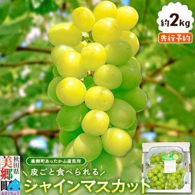 ふるさと納税 美郷町 シャインマスカット 約2kg|01_mac-010201
