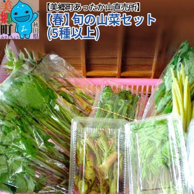ふるさと納税 美郷町 【春】旬の山菜セット(5種類以上)美郷町あったか山直売所/中身おまかせ|01_mac-051201の画像