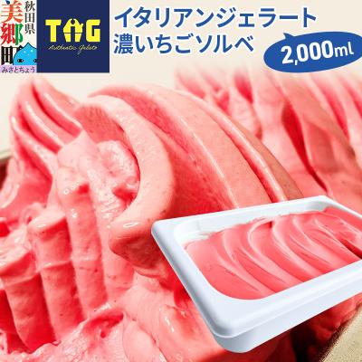 ふるさと納税 美郷町 ジェラテリア TiG イタリアンジェラート 濃いちごソルベ(2L)|01_abo-010101