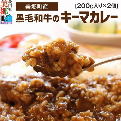 ふるさと納税 美郷町 美郷町産黒毛和牛のキーマカレー2個入 あきた美郷づくり|01_amd-143501