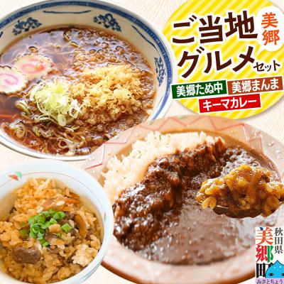 ふるさと納税 美郷町 美郷ご当地グルメセット(キーマカレー、美郷たぬ中、みさとまんま)|01_amd-184301