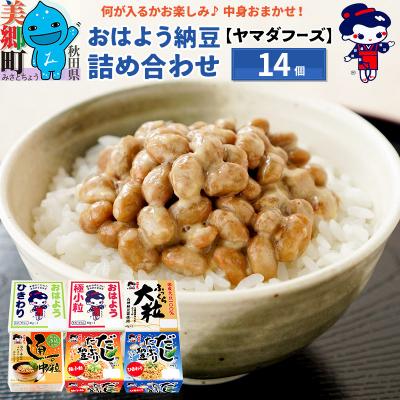 ふるさと納税 美郷町 ヤマダフーズ おはよう納豆 内容おまかせ!詰め合わせ14個|01_ymf-010401