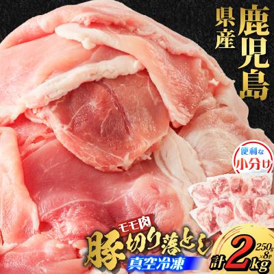 ふるさと納税 鹿児島市 鹿児島県産 豚切り落とし 250g×8パック 計2kg