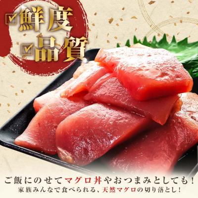 ふるさと納税 田野町 海鮮丼にも!訳あり 天然マグロ切り落とし 1kg(冷凍) |  | 01