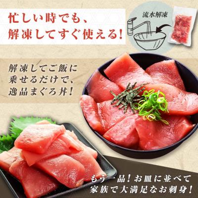 ふるさと納税 田野町 海鮮丼にも!訳あり 天然マグロ切り落とし 1kg(冷凍) |  | 03