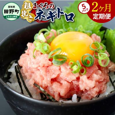 ふるさと納税 田野町 〜四国一小さなまち〜≪カネアリ水産≫まぐろのネギトロ 400g(80g×5パック)★2ヶ月定期便★