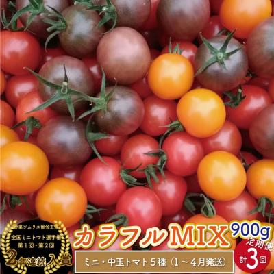 ふるさと納税 佐川町 [2026年1月〜4月頃発送]&lt;約900g×3回 定期便 &gt;カラフルトマト アイメックトマト