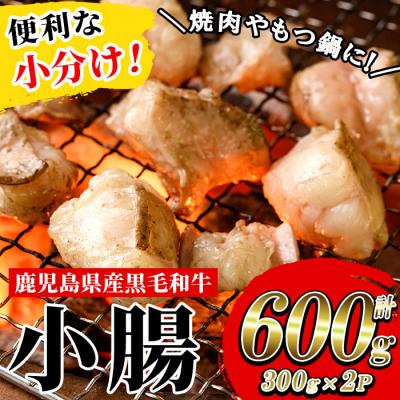 ふるさと納税 いちき串木野市 鹿児島県産黒毛和牛の小腸 ホルモン 600g(300g×2P)