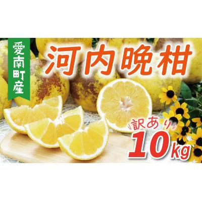 ふるさと納税 愛南町 訳あり 河内晩柑 樹齢 30年以上 10kg みかん 規格外 柑橘 愛南町 愛媛県 果樹園みどり