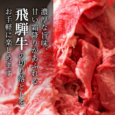 ふるさと納税 東白川村 飛騨牛 切り落とし 700g 訳あり 牛肉 養老ミート |  | 01