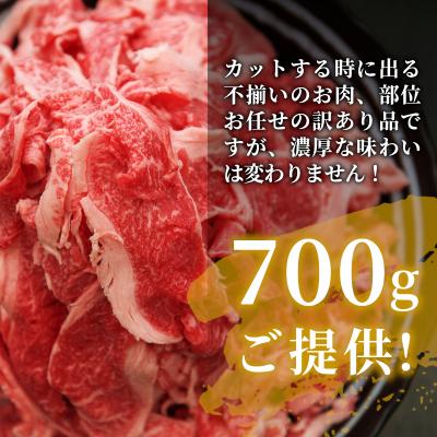 ふるさと納税 東白川村 飛騨牛 切り落とし 700g 訳あり 牛肉 養老ミート |  | 02