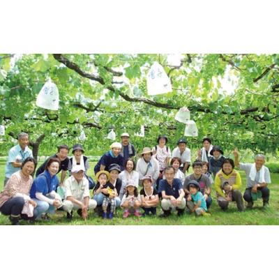 ふるさと納税 栃木市 七ふしぎ農業体験(7品)