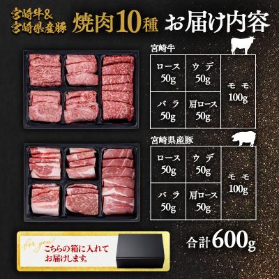 ふるさと納税 西都市 宮崎牛&宮崎県産豚肉 焼肉10種盛り　焼肉セット計600g[3003] |  | 01