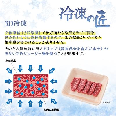 ふるさと納税 西都市 宮崎牛&宮崎県産豚肉 焼肉10種盛り　焼肉セット計600g[3003] |  | 02