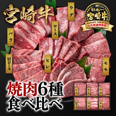 ふるさと納税 西都市 [宮崎牛]6種盛り焼肉セット600g ヒレ・ロースなど6部位食べ比べミヤチク[2778]