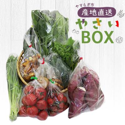 ふるさと納税 香南市 野菜セット 野菜 野菜詰め合わせ 10種類前後 yr-0011