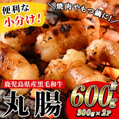 ふるさと納税 いちき串木野市 鹿児島県産黒毛和牛ホルモン 丸腸 約600g(300g×2P)