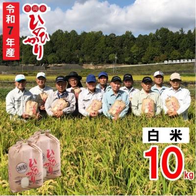 ふるさと納税 笠岡市 [令和7年産 先行受付]白米 ひのひかり 笠岡産 10kg 太陽の恵み O-07_10k_白米